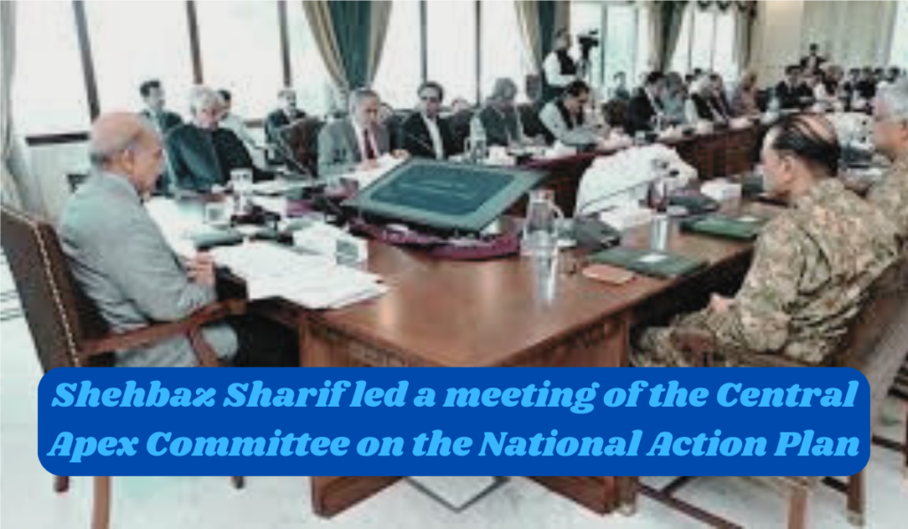 Shehbaz Sharif led a meeting of the Central Apex Committee