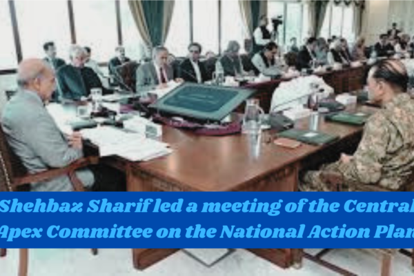 Shehbaz Sharif led a meeting of the Central Apex Committee