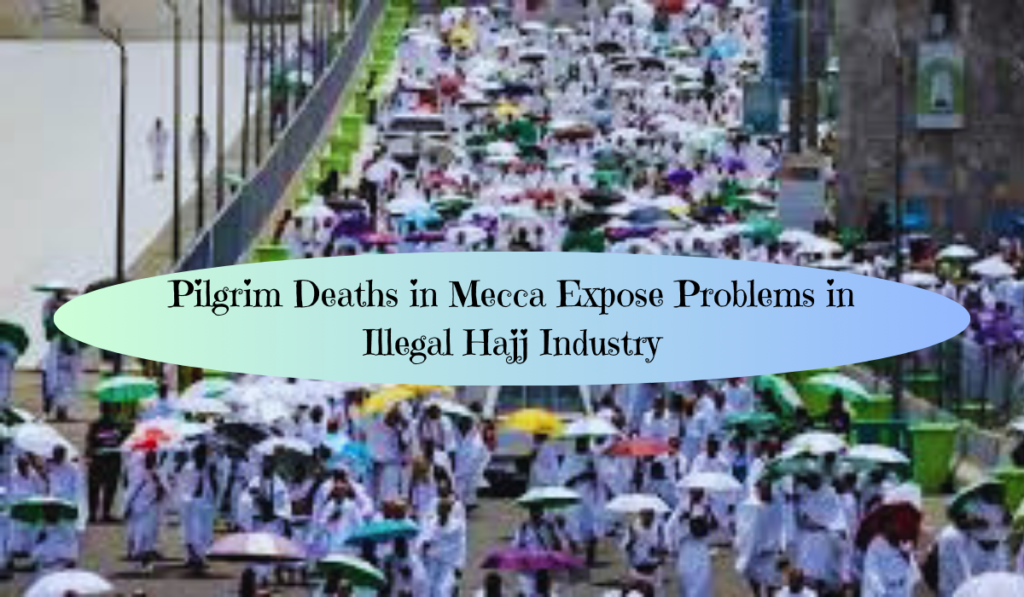 Pilgrim deaths in Mecca expose problems in illegal Hajj industry