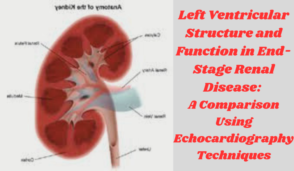 Left Ventricular Structure and Function in End-Stage Renal Disease