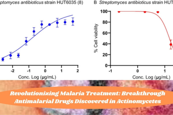 Revolutionizing Malaria Treatment