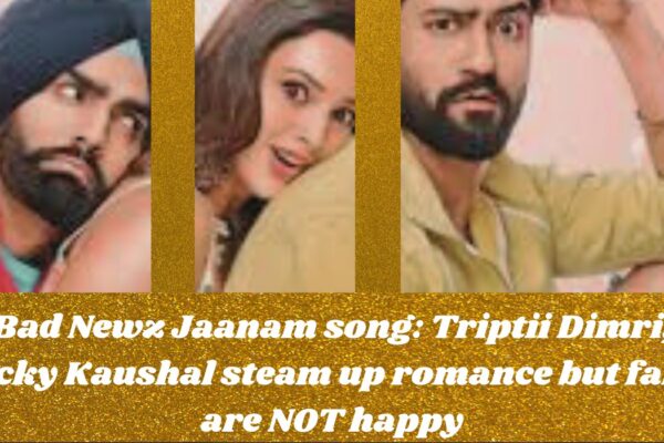 Bad Newz Jaanam song