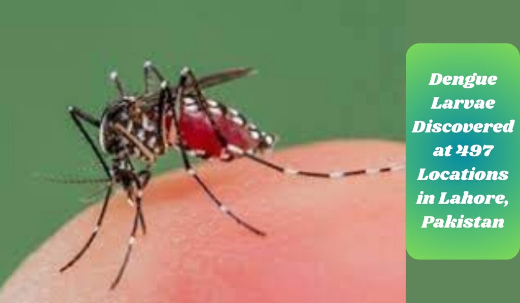 Dengue Larvae Discovered at 497 Locations in Lahore, Pakistan