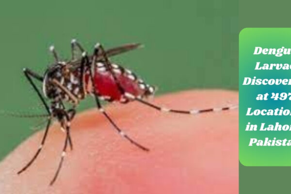 Dengue Larvae Discovered at 497 Locations in Lahore, Pakistan