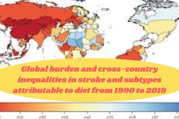 Global Trends and Inequalities in Stroke Due to Dietary Risks (1990-2019)