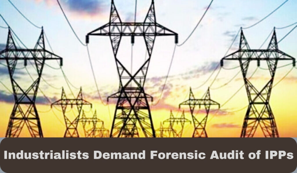 Industrials demand forensic audit of IPPs