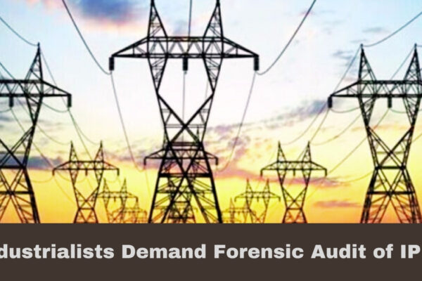 Industrials demand forensic audit of IPPs