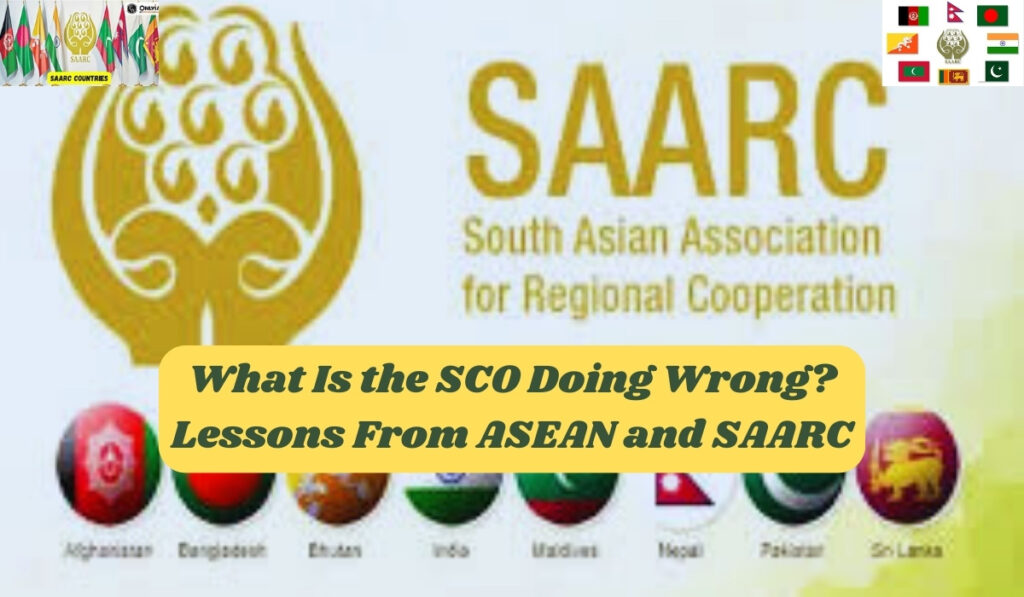 The SCO is doing wrong? SAARC