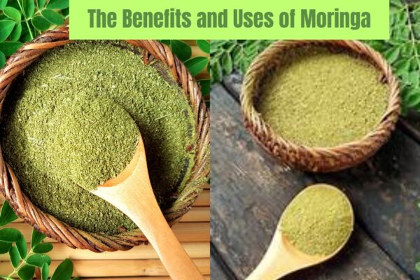 The Benefits and Uses of Moringa