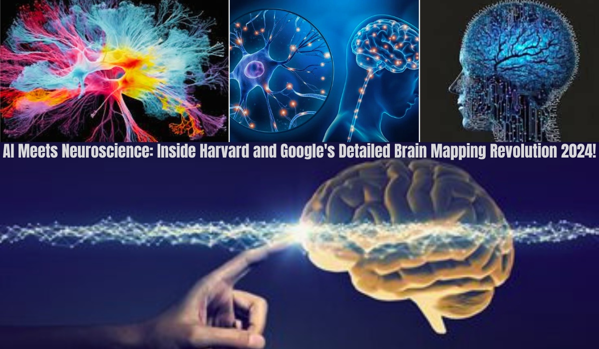 AI Meets Neuroscience Inside Harvard and Google's Detailed Brain Mapping Revolution 2024!