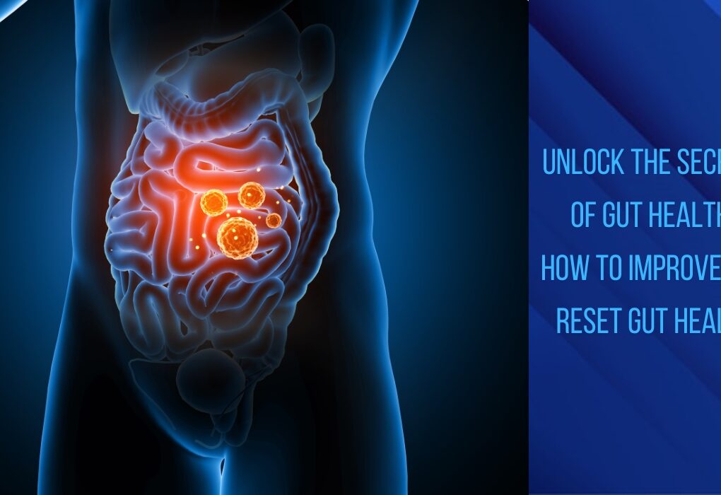 Unlock the Secrets of Gut Health How to Improve and Reset Gut Health